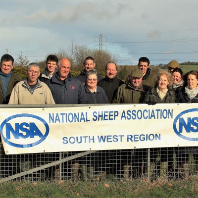 NSA Sheep South West 2017